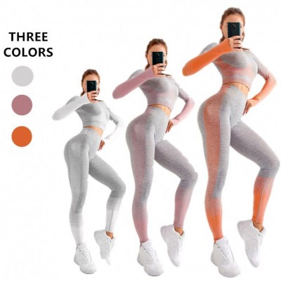 2 Piece Long Sleeve Women Seamless Leggings Set